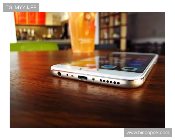 u优乐老虎机手机管带来极致的移动娱乐新体验让你爱不释手