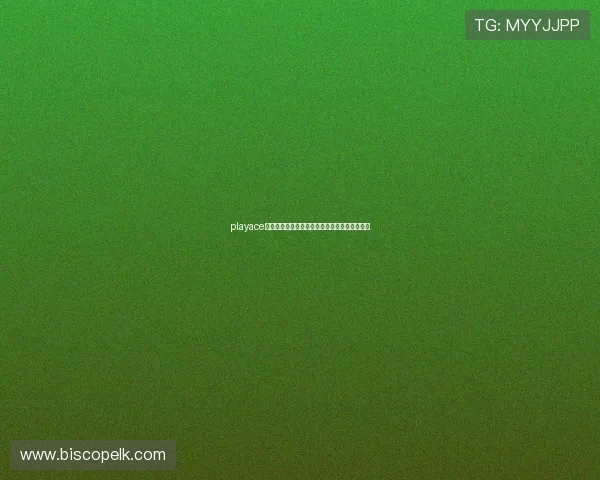 playace在线娱乐平台安全可靠保障玩家权益的最佳选择