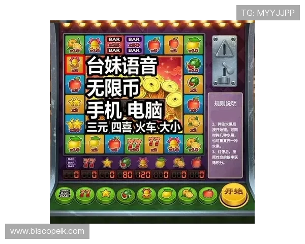 全面解析水果老虎机价格表及影响价格的主要因素 全面解析水果老虎机价格表及影响价格的主要因素