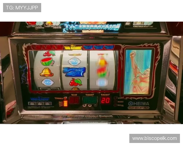 单机老虎机下载：最新单机老虎机游戏免费下载与安装详细教程