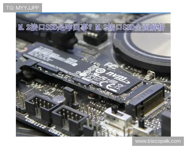 全面解析m&m老虎机的游戏规则与奖金机制，让你玩得更尽兴更有策略