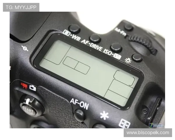 新手必看：mg娱乐电子游戏入门指南与操作技巧全方位指导