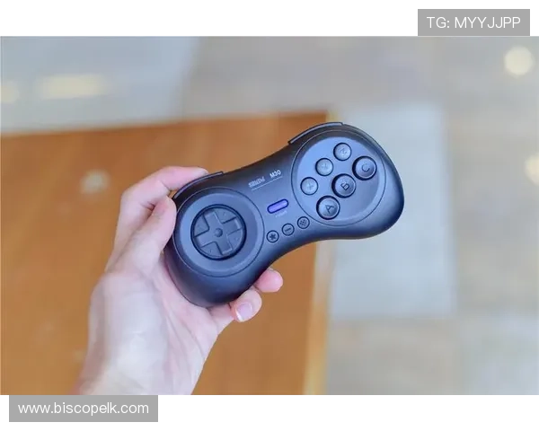 通过微信客服渠道快速反馈游戏中的技术问题，提升游戏顺畅度和体验感